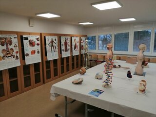 IMG_20200306_074542