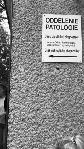 Exkurzia na patológií
