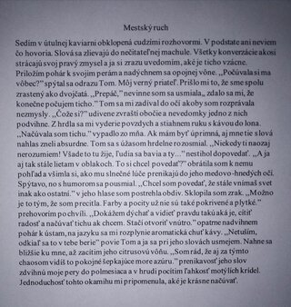 M.Šerbanová - Mestský ruch