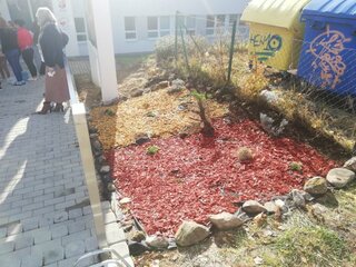 IMG_20211105_125125
