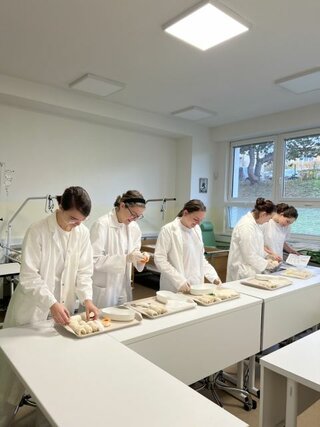IMG-6573