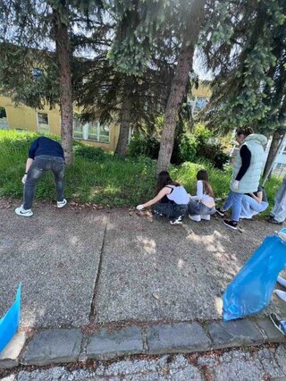 picture1 (1)