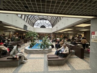 IMG_6547