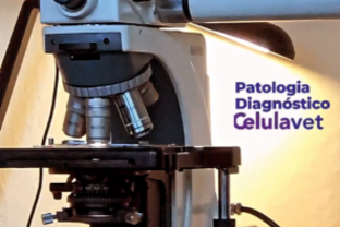 Exkurzia na patológií - image0