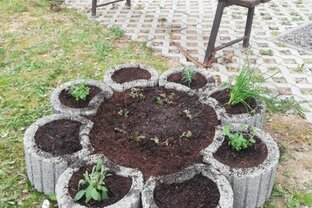 Deň zeme - IMG_20220422_133253