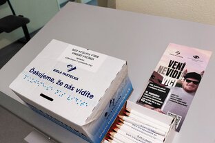 Zväčšiť fotografiu - Biela pastelka na našej škole - 