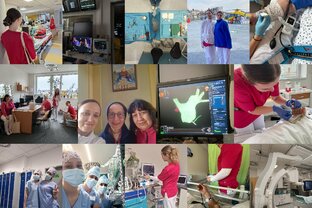 Zväčšiť fotografiu - Erasmus+ mobilita v brne sa končí…