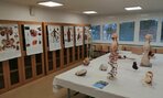 IMG_20200306_074542