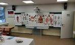 IMG_20200306_074550