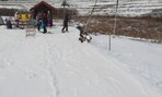 IMG_20200120_135005