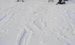 IMG_20200120_135032
