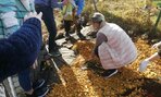 IMG_20211105_124525