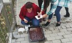 IMG_20211105_125044