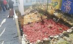 IMG_20211105_125125