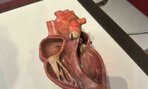 picture36
