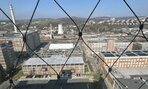 IMG_6475