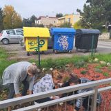 Dobrovoľníci SZŠ upravili a skrášlili kvetinový záhon pred školou